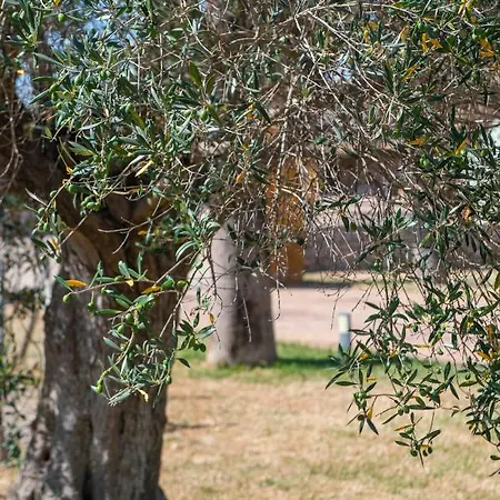 Son Manyo Holiday home Sa Pobla